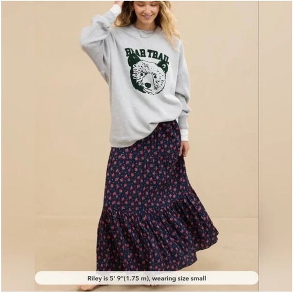 Aerie Gray Bear Trail Sweatshirt - Picture 3 of 4